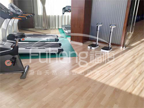 <a href=http://www.017771.cn target=_blank class=infotextkey>健身</a>房木地板-10fd